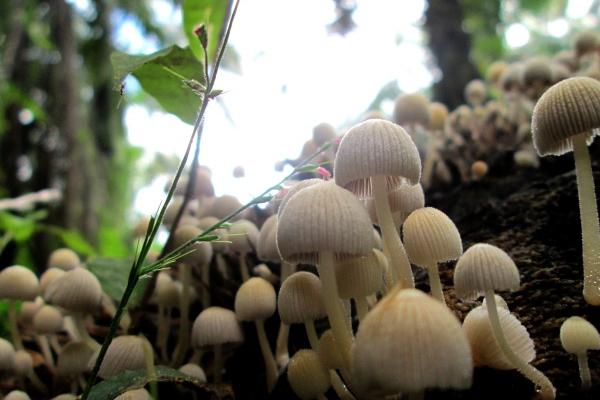 属兔和属龙的夫妻结局 生肖兔和龙能过一辈子吗