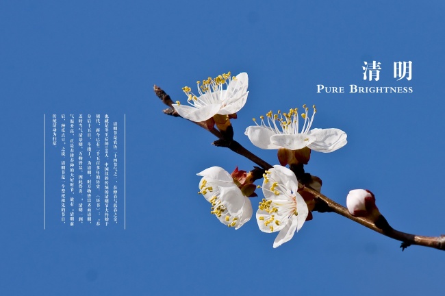 94年属狗2023年结婚吉日查询 有什么建议