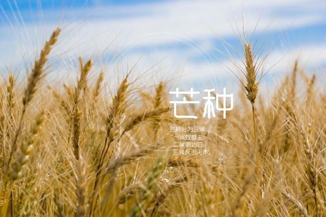 2023年12月16日特吉生肖 今日特吉的生肖运势吉凶