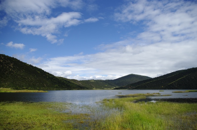 2023年本命太岁,属兔值太岁,属鸡冲太岁