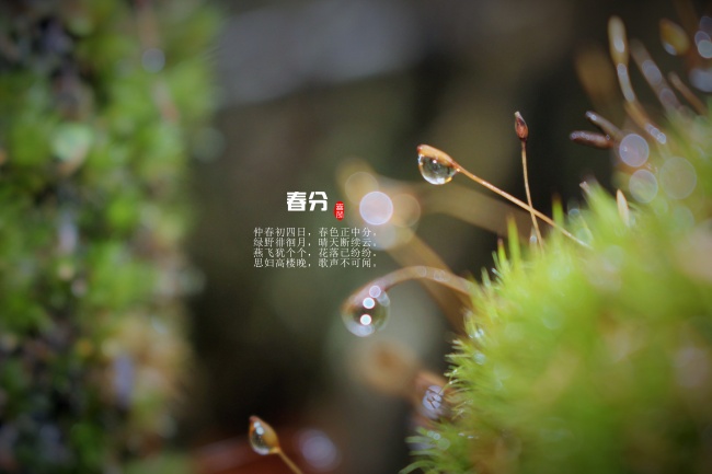 网络科技公司起名字大全免费取名（精选100个）