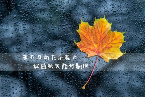 1996年属鼠2023结婚好不好 和谁在一起最好