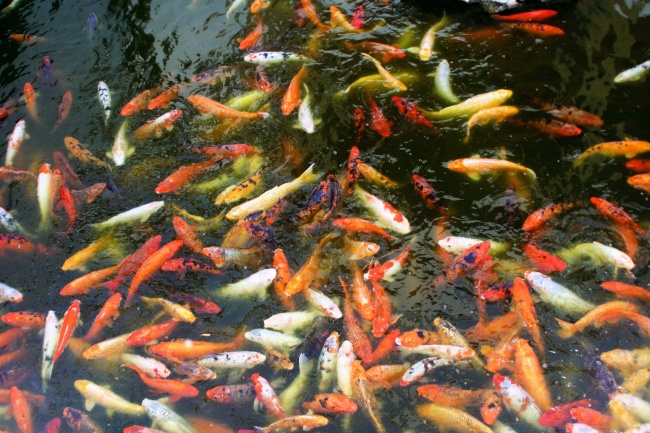 天干庚金的特点