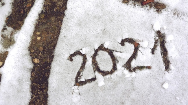 99属兔本命年可以戴金吗 属兔2023年戴金狗好不好