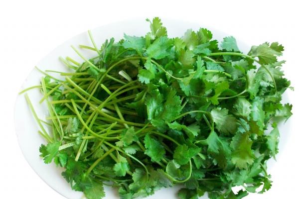 男93属鸡女96属鼠相合吗 婚姻好不好