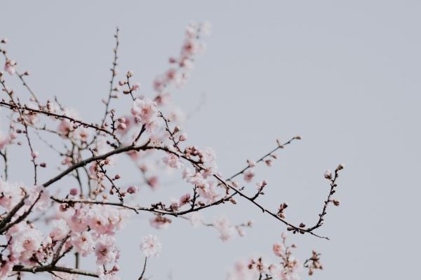 [今日运势]属马运势