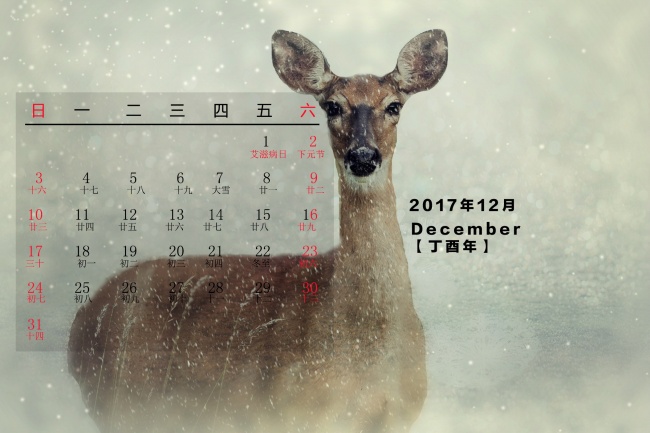 2023年属牛适合换工作吗，属牛人2023年事业运势如何