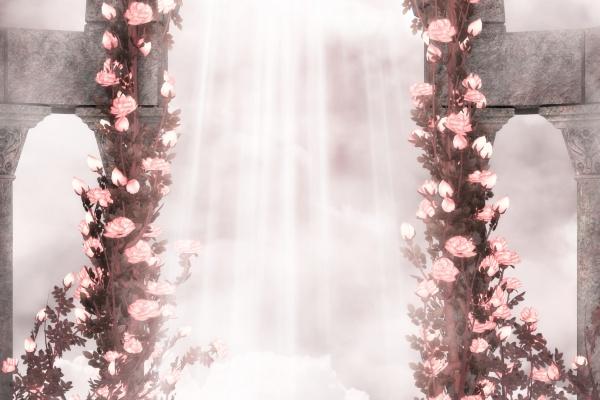 [今日运势]属马运势