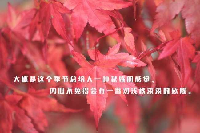 2023年属兔男孩几月出生最好 无忧无虑