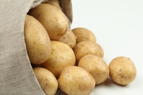 一家3个人犯太岁怎么办，兔年拜太岁怎样拜