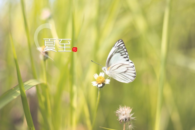 2023年黑兔年要戴红绳吗 佩戴红绳可避小人保平安