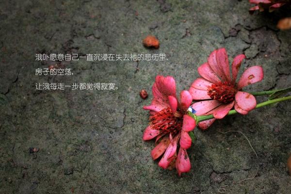 阴历正月初一出生的男孩好不好2023 命运如何