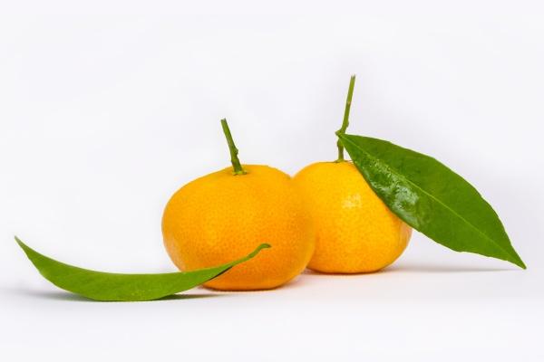 春节生的小孩怎么取名好听一点 气宇轩昂 诗情画意