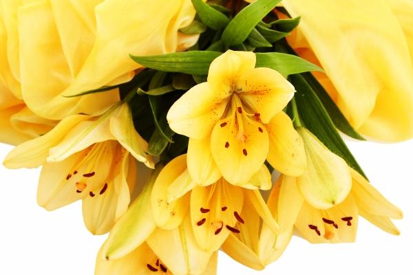 春节出生的孩子起名字大全集 吉祥如意的宝宝名字
