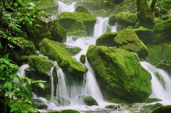 兔年正月初九起,三个生肖越努力越顺心,日子顺心!