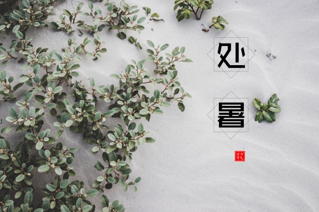梦到配种预示什么