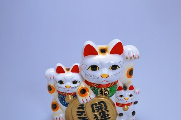 梦到猫追老鼠预兆了什么吗