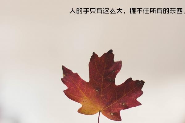 冲煞生肖查询 2023年11月29日属什么冲什么生肖