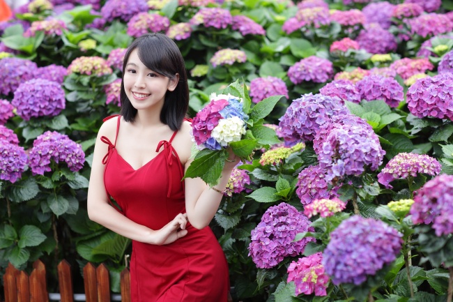 [今日运势]属龙运势