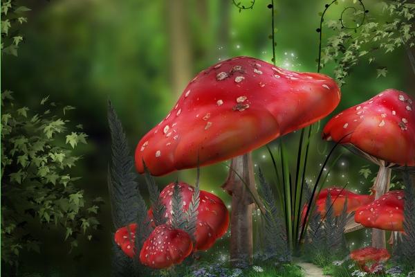 梦到牙齿丢了是什么意思