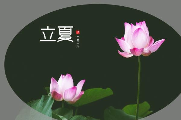 2023年2月21日宝宝出生的五行缺什么 本日出生金主义其性刚