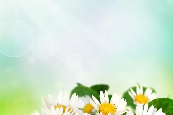 2023年2月14日结婚黄道吉日 今天可以办婚礼吗