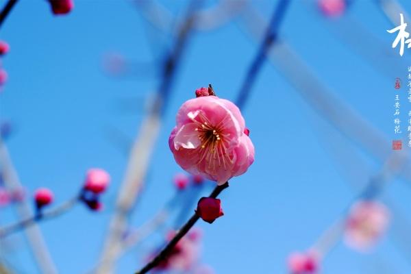 2023年发横财的生肖最旺 风生水起大运不断的三个属相