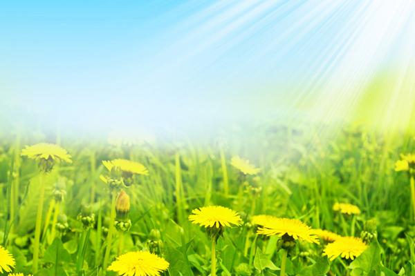 2023年4月19日开门营业好吗 今日开业则发大财一帆风顺
