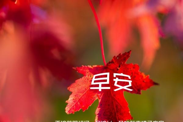 2024龙是百年难遇吗 本命年的运势怎么样
