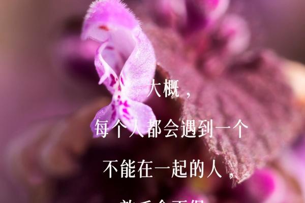 十二星座2023年7月份桃花运势排行 第一名竟是它