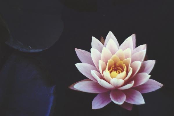 属龙人出生12个月12种不同命，属龙的不同月份出生命运怎样