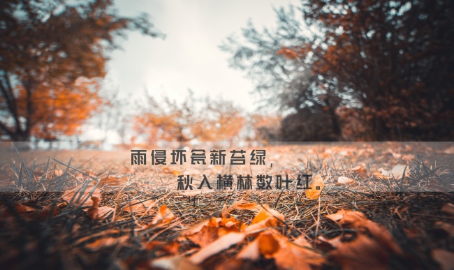 2023年什么时辰出生最好 兔年生孩子吉日吉时