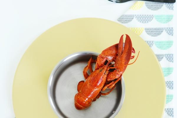 属猴和兔相配婚姻如何 猴和兔最佳婚配是谁