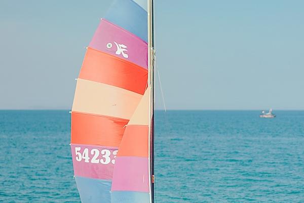 郑博士 十二生肖周运详解3.20-3.26 郑博士 十二生肖周运详解3.20-3.26