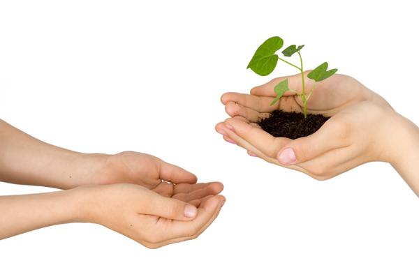 晚年必暴富的生肖 作好理财规划勿高调 晚年必暴富的生肖 作好理财规划勿高调