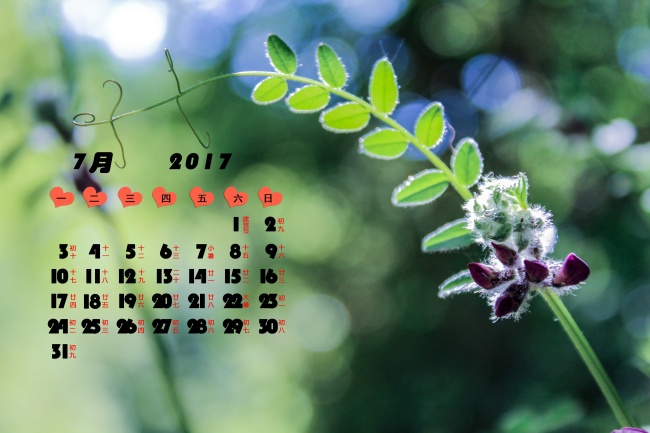 车牌202这个数字好吗 202车牌号到底还不好