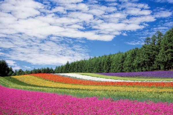 2023年4月11日提车好吗 适合买新车的日子吗