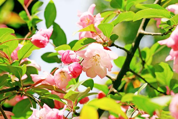 2023年4月2日动土好吗 是破土吉日吗