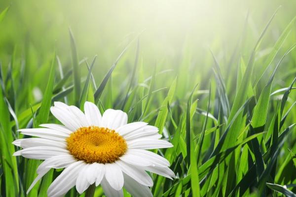 2023年4月12日入宅日怎么样 入宅吉利吗