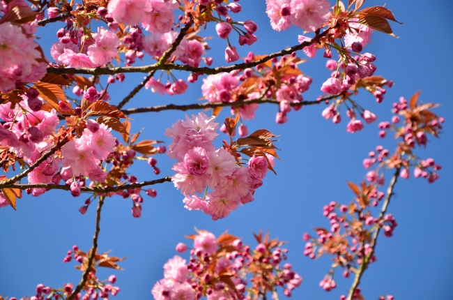 2023年4月9日适合入宅吗 是入宅最旺日子吗