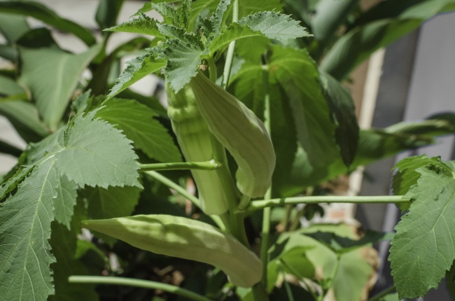 狂月天时 0506每日星座运势