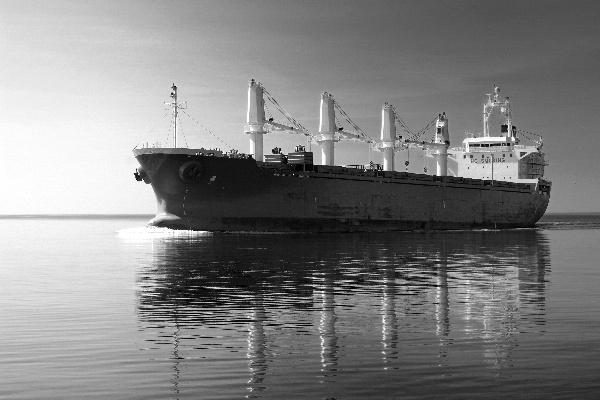 十二生肖最配对的生肖 你的缘分在谁家呢