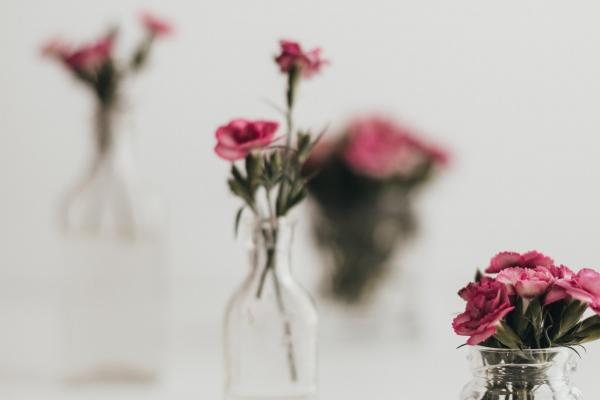 72鼠女和88年属龙男合财吗 相互支持和鼓励 72鼠女和88年属龙男合财吗 相互支持和鼓励