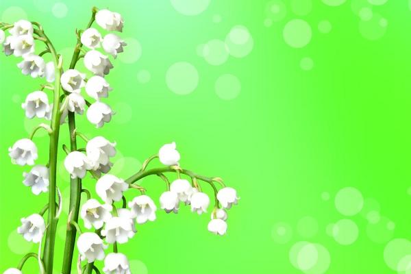 2023年属龙下半年要出大事 要倒大霉吗 2023年属龙下半年要出大事 要倒大霉吗