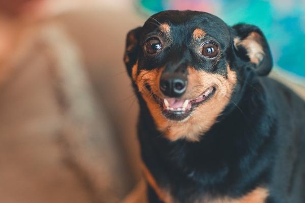 2023年属马下半年要出大事 要倒大霉吗 2023年属马下半年要出大事 要倒大霉吗