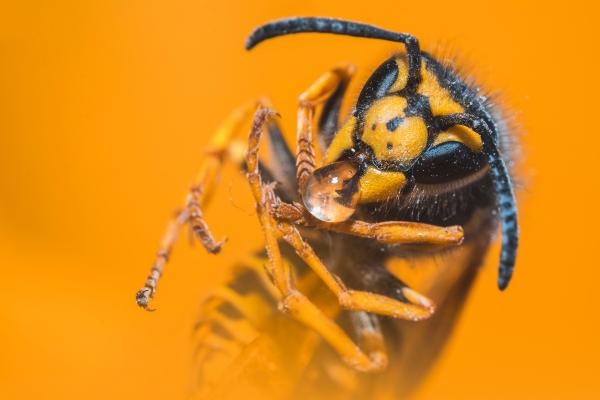 属马人2023年下半年运势及每月运程  2023年属马人的全年运势详解