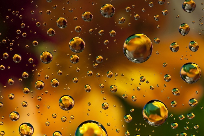 属鼠男2023年的运势和婚姻 今年适合结婚吗