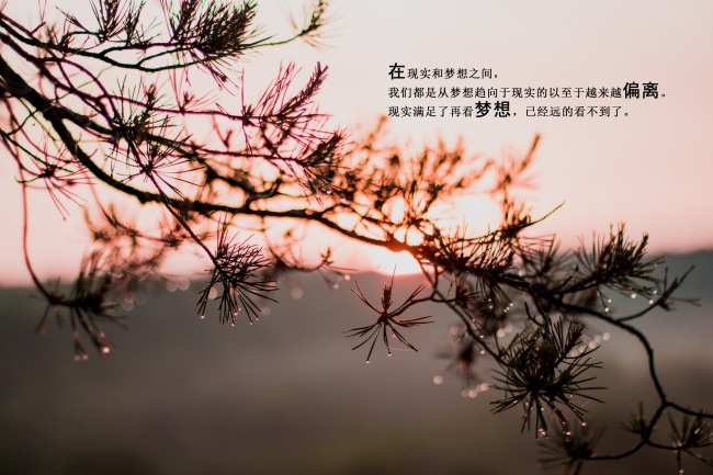 梦见有人敲窗户有什么征兆