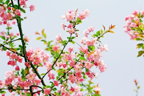 &quot;爱与奉献的极限挑战!探究四大生肖中最为情感付出的无私情人!&quot;