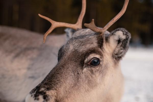 本命适合佩戴什么首饰好 首饰佩戴禁忌